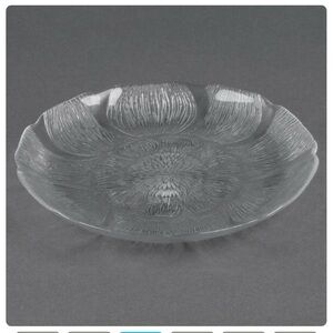 10 Flower Glass Dinner Plates